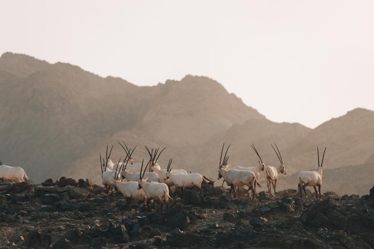 Hatta Resorts Esterno foto
